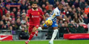 Soi kèo Liverpool vs Brighton