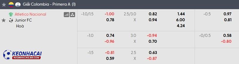 Tỷ lệ soi kèo nhà cái Atletico Nacional vs Junior FC Tỷ lệ soi kèo nhà cái Atletico Nacional vs Junior FC